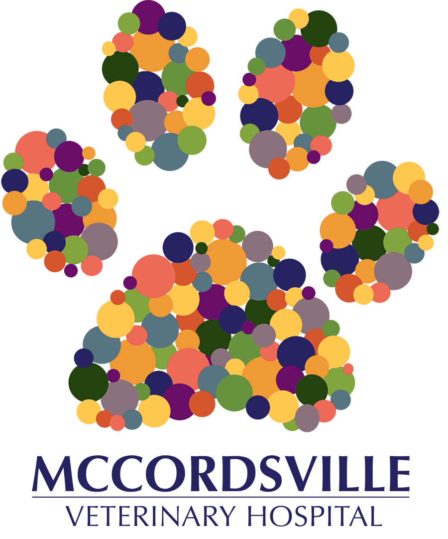 McCordsville Veterinary Hospital